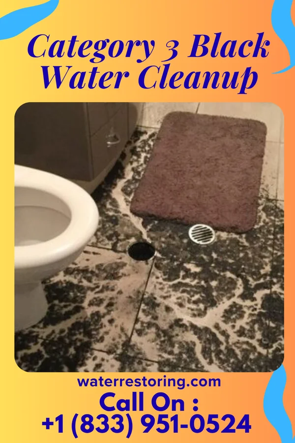 Category 3 Black Water Cleanup in Knoxville, IA