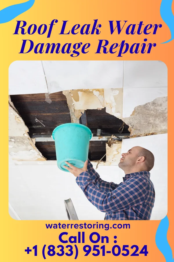 Roof Leak Water Damage Repair in Knoxville, IA